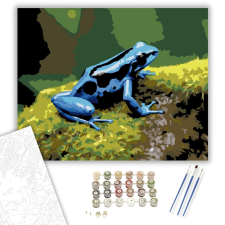 Számfestő.hu Kék Nyílméregbéka Mohás Kövön - számfestő készlet – 40×50 cm (Keretre feszítve) kreatív és készségfejlesztő