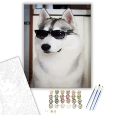 Számfestő.hu Kutya napszemüvegben - számfestő készlet – 40×50 cm (Keretre feszítve) kreatív és készségfejlesztő
