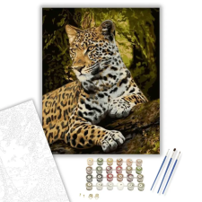 Számfestő.hu Leopárd tekintet - számfestő készlet – 80×100 cm (Keret nélkül) kreatív és készségfejlesztő