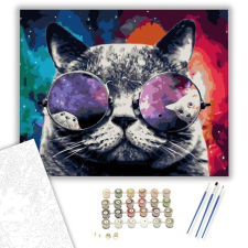 Számfestő.hu Macska napszemüvegben - számfestő készlet – 40×50 cm (Keretre feszítve) kreatív és készségfejlesztő