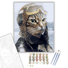 Számfestő.hu Macska pilóta - számfestő készlet – 40×50 cm (Keretre feszítve) kreatív és készségfejlesztő