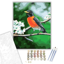 Számfestő.hu Madárka - számfestő készlet – 40×50 cm (Keretre feszítve) kreatív és készségfejlesztő