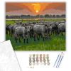 Számfestő.hu Magyar Szürkemarhák a Tisza-parton - számfestő készlet – 40×50 cm (Keretre feszítve)
