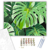 Számfestő.hu Monstera és Banánlevelek - számfestő készlet – 60×70 cm (Keret nélkül)