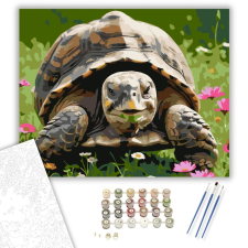 Számfestő.hu Mosolygó Teknős Vadvirágok Között - számfestő készlet – 40×50 cm (Keretre feszítve) kreatív és készségfejlesztő
