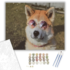 Számfestő.hu Napfürdöző kutya - számfestő készlet – 40×50 cm (Keretre feszítve) kreatív és készségfejlesztő