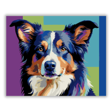 Számfestő.hu Neon Színű Border Collie - számfestő készlet kreatív és készségfejlesztő
