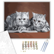 Számfestő.hu Olvasó cicák - számfestő készlet – 40×50 cm (Keretre feszítve) kreatív és készségfejlesztő