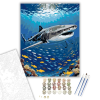Számfestő.hu Óriáscápa a Korallzátonynál - számfestő készlet – 40×50 cm (Keretre feszítve)