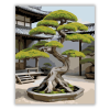 Számfestő.hu Ősi Bonsai és Kő Lámpás - számfestő készlet