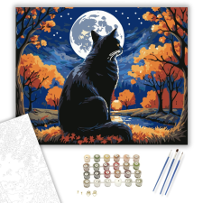 Számfestő.hu Őszi Éjszakák Mágus Macskája - számfestő készlet – 40×50 cm (Keretre feszítve) kreatív és készségfejlesztő