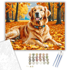 Számfestő.hu Őszi kalandok arany retrieverrel - számfestő készlet – 40×50 cm (Keretre feszítve) kreatív és készségfejlesztő