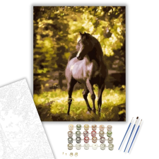 Számfestő.hu Paripa - számfestő készlet – 40×50 cm (Keretre feszítve) kreatív és készségfejlesztő