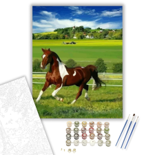 Számfestő.hu Paripa - számfestő készlet – 40×50 cm (Keretre feszítve) kreatív és készségfejlesztő