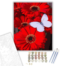 Számfestő.hu Pillangó piros virágokon - számfestő készlet – 40×50 cm (Keretre feszítve) kreatív és készségfejlesztő