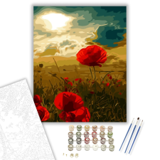 Számfestő.hu Pipacs - számfestő készlet – 40×50 cm (Keretre feszítve) kreatív és készségfejlesztő