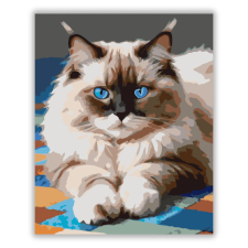 Számfestő.hu Ragdoll Macska Kék Szemekkel - számfestő készlet kreatív és készségfejlesztő