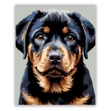 Számfestő.hu Rottweiler Kölyök Közeli Portré - számfestő készlet kreatív és készségfejlesztő