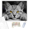 Számfestő.hu Sárga szemű cica - számfestő készlet – 40×50 cm (Keretre feszítve)