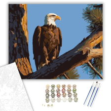 Számfestő.hu Sas a Magas Fenyőn - számfestő készlet – 80×100 cm (Keret nélkül) kreatív és készségfejlesztő