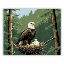 Számfestő.hu Sasfészek a Magasban - számfestő készlet kreatív és készségfejlesztő