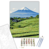 Számfestő.hu Shizuoka Tea Mezők és Fuji Hegy - számfestő készlet – 80×100 cm (Keret nélkül)