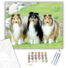 Számfestő.hu Skót juhászok - számfestő készlet – 40×50 cm (Keretre feszítve) kreatív és készségfejlesztő