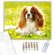 Számfestő.hu Spániel - számfestő készlet – 40×50 cm (Keretre feszítve) kreatív és készségfejlesztő
