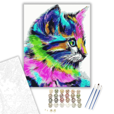 Számfestő.hu Színes Cica - számfestő készlet – 40×50 cm (Keretre feszítve) kreatív és készségfejlesztő