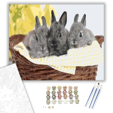 Számfestő.hu Szürke nyuszik - számfestő készlet – 40×50 cm (Keretre feszítve) kreatív és készségfejlesztő