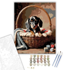 Számfestő.hu Tacskó Kiskutya a Kosárban - számfestő készlet – 40×50 cm (Keretre feszítve) kreatív és készségfejlesztő
