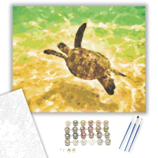 Számfestő.hu Teknős - számfestő készlet – 40×50 cm (Keretre feszítve) kreatív és készségfejlesztő