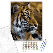 Számfestő.hu Tigris - számfestő készlet – 50×60 cm (Keretre feszítve) kreatív és készségfejlesztő