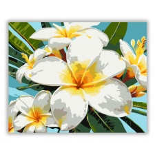 Számfestő.hu Trópusi Plumeria Virágok - számfestő készlet kreatív és készségfejlesztő