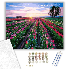 Számfestő.hu Tulipán mező - számfestő készlet – 40×50 cm (Keretre feszítve) kreatív és készségfejlesztő