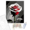 Számfestő.hu Vörös és Fehér Rózsa - számfestő készlet – 40×50 cm (Keretre feszítve)