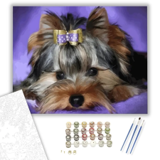 Számfestő.hu Yorki - számfestő készlet – 50×60 cm (Keret nélkül) kreatív és készségfejlesztő