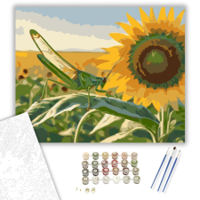 Számfestő.hu Zöld Szöcske Napraforgón - számfestő készlet – 40×50 cm (Keretre feszítve) kreatív és készségfejlesztő