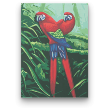 Számfestő Két Papagáj - számfestő készlet kreatív és készségfejlesztő