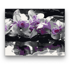 Számfestő Lila Orchidea - számfestő készlet kreatív és készségfejlesztő