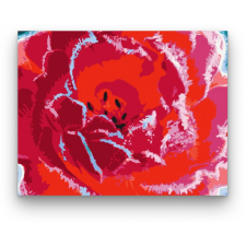 Számfestő Piros Virág - számfestő készlet kreatív és készségfejlesztő