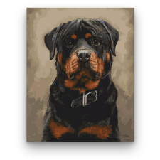 Számfestő Rottweiler - számfestő készlet kreatív és készségfejlesztő