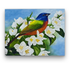 Számfestő Színes madárka virágon - előszínezett számfestő készlet (30x40cm) kreatív és készségfejlesztő
