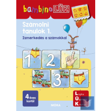  Számolni tanulok 1. gyermek- és ifjúsági könyv