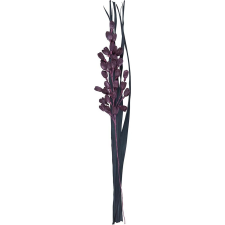  Szárított díszcsokor liliom Midnight Mystery 95 cm lila-fekete dekoráció