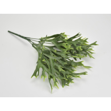  Szarvasagancs páfrány dekorációs kellék