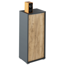  Szekrény, grafit/tölgyfa artisan, RIOMA NEW TYP 10 bútor