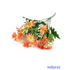 Szeldelt virágú margaréta csokor bogyóval 33cm - Korall