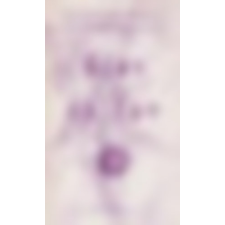 Szent Gellért Egyházi Kiadó Élet és ige antikvárium - használt könyv