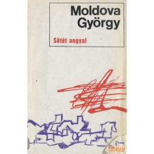 Szépirodalmi Sötét angyal (1971) antikvárium - használt könyv